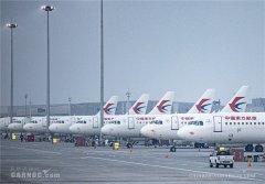 隨著更多的東寬體機投入到國內(nèi)航班中
-整柜