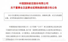 公司第五屆董事會(huì)及監(jiān)事會(huì)將于2020年10月26日任期屆滿
-深圳海運(yùn)整柜