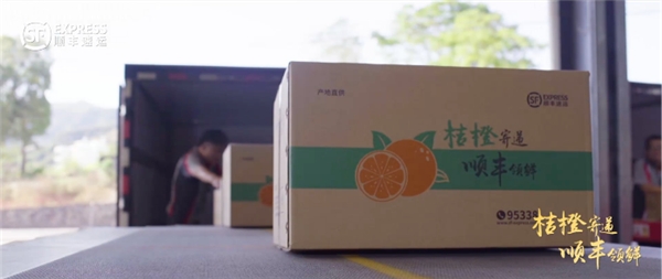 為桔橙果農(nóng)果商提供更為科學、本錢更省的個性化包裝選擇
-海運費預支