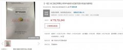 龍江航空有限公司（以下簡(jiǎn)稱龍江航空）成為國(guó)內(nèi)首家在拍賣臺(tái)待價(jià)而沽的航司