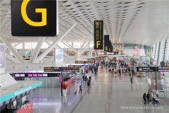 鄭州機場2021年春運啟動 為老弱和無陪兒童提供出行便利
-國際海運
