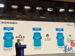 白云機(jī)場(chǎng)圍繞國(guó)際航空樞紐戰(zhàn)略定位以及建設(shè)粵港澳大灣區(qū)世界級(jí)機(jī)場(chǎng)群發(fā)展要