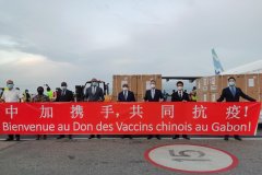中國率先向加蓬援助疫苗
-國際海運(yùn)