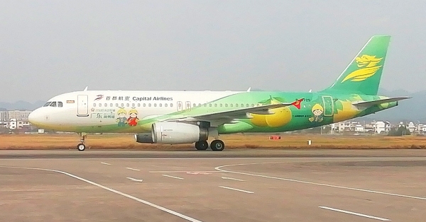 主題彩繪飛機(jī)翱翔天際
-國(guó)際物流