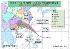 臺風藍色預(yù)警:“白鹿”24日或正面登陸福建！-運費報價